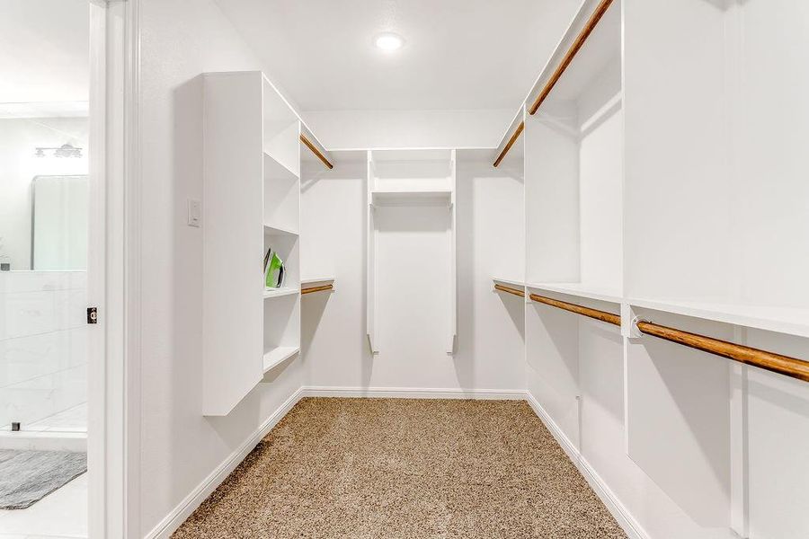 Spacious closet featuring carpet flooring