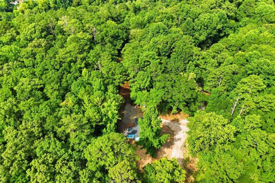 Natural landscape and outdoor views near  in Conyers (Image 18).