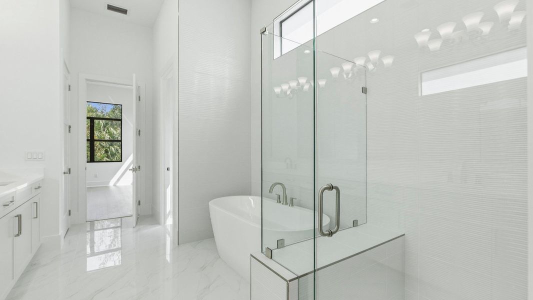 Owner's Bath