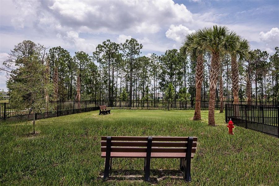 Community amenities in Harvest at Ovation, Winter Garden (Image 38).