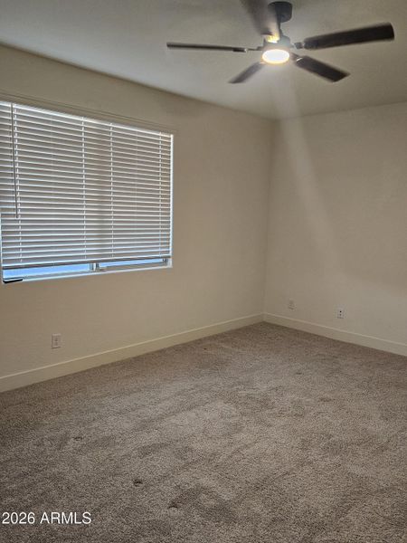 20260129_174814_resized 20260129_174814_resized