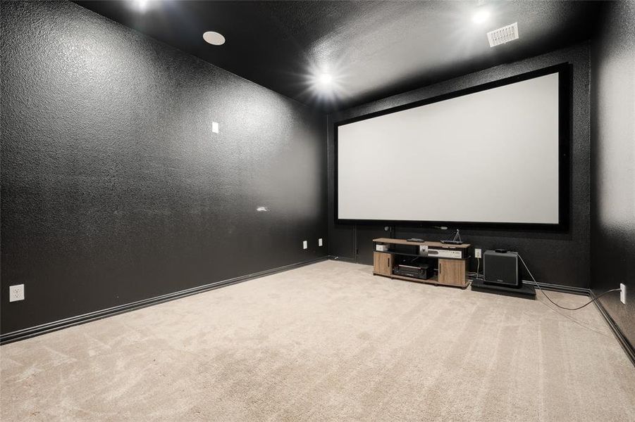Carpeted cinema with a textured wall and a textured ceiling Carpeted cinema with a textured wall and a textured ceiling
