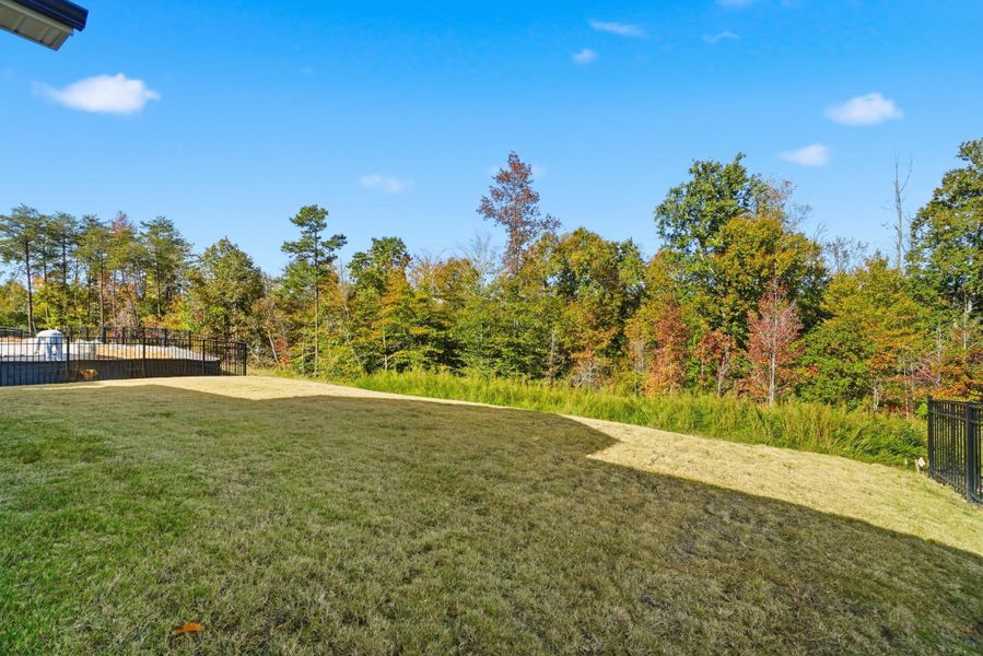 Natural landscape and outdoor views near The Meadows at Laurelbrook in Sherrills Ford (Image 42).