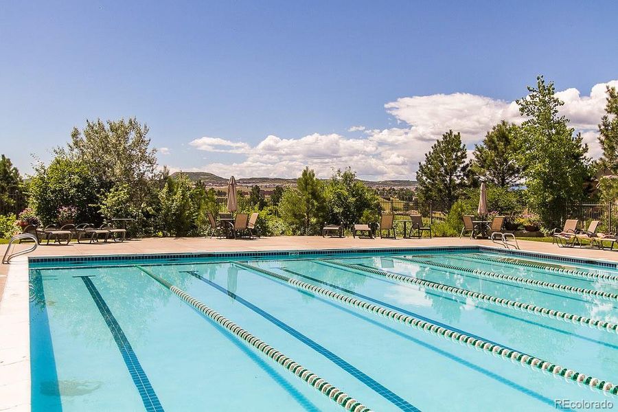 Lap Pool Castle Pines Village HOA