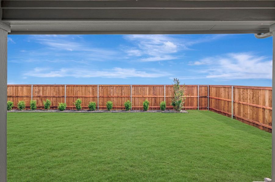 Backyard Backyard