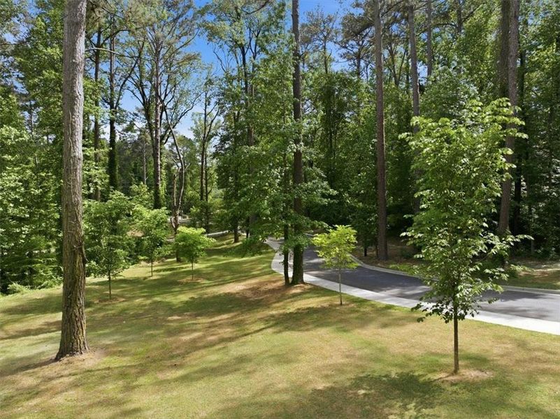 Natural landscape and outdoor views near  in Atlanta (Image 62).