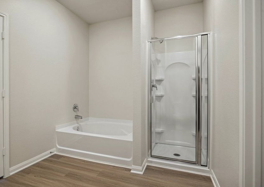 A step-in shower and tub in the master bathroom A step-in shower and tub in the master bathroom