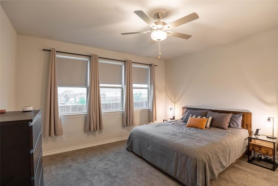 Carpeted bedroom with ceiling fan and baseboards Carpeted bedroom with ceiling fan and baseboards