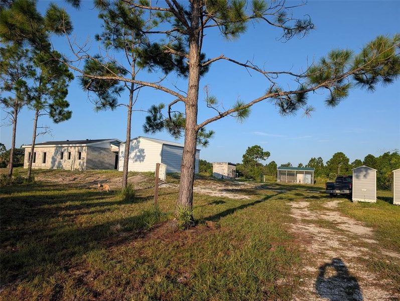 Natural landscape and outdoor views near  in Punta Gorda (Image 32).