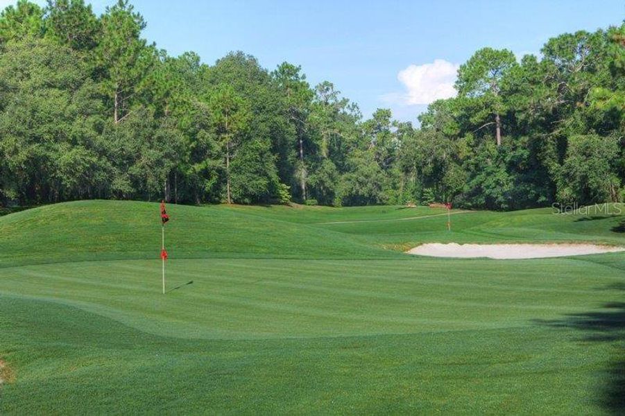 Natural landscape and outdoor views near in Citrus Springs (Image 26). Natural landscape and outdoor views near in Citrus Springs (Image 26).