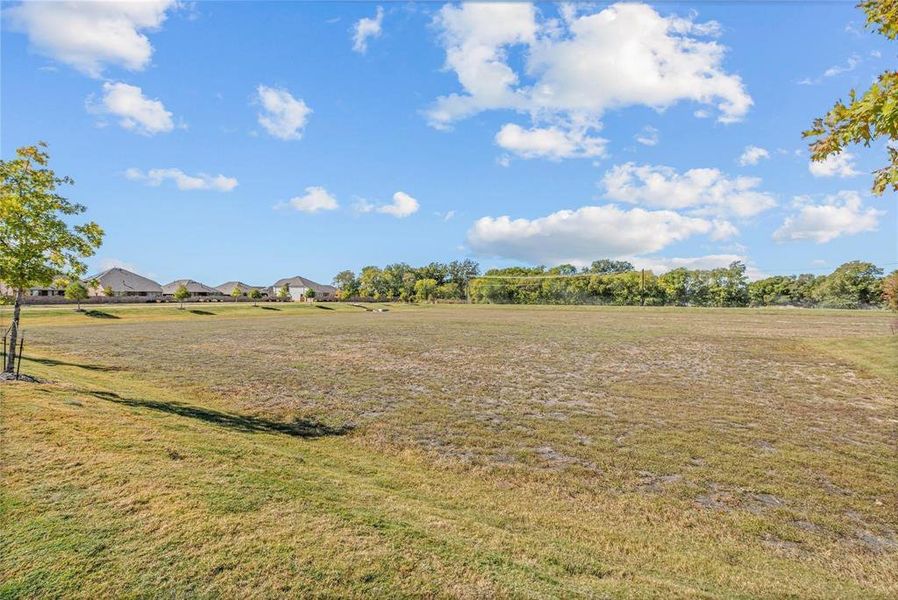 View of grassy yard View of grassy yard