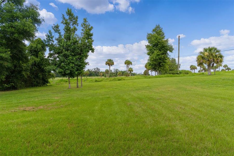 Natural landscape and outdoor views near  in Ocala (Image 38).