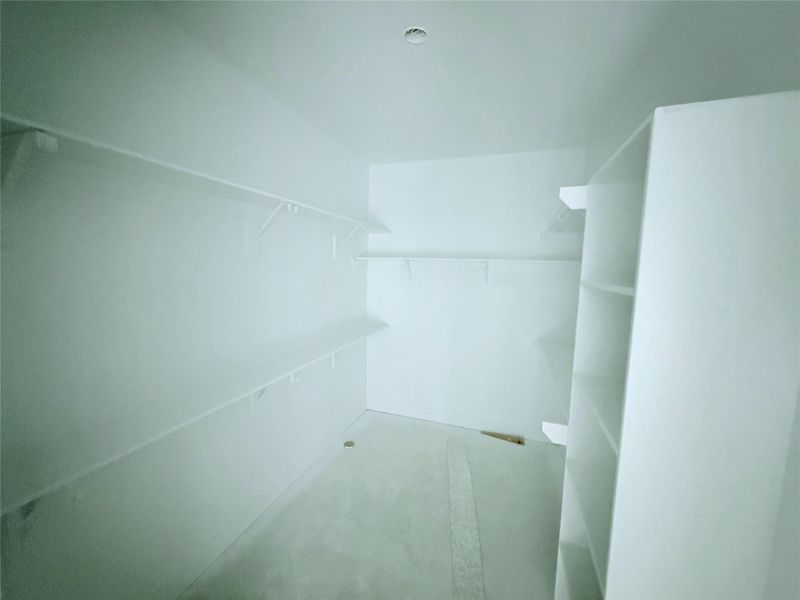 Primary closet with built in's
