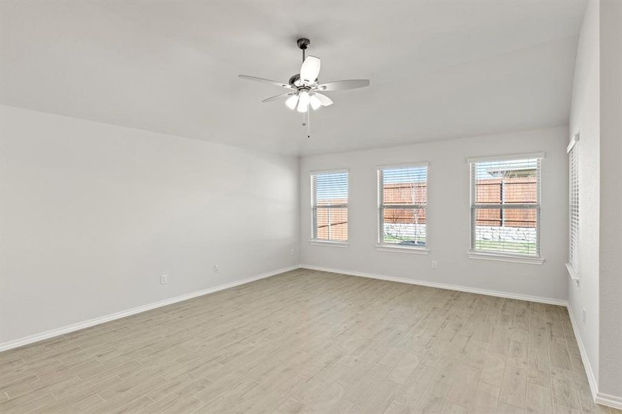 16. 116 Coyote - Family (2) 16. 116 Coyote - Family (2)