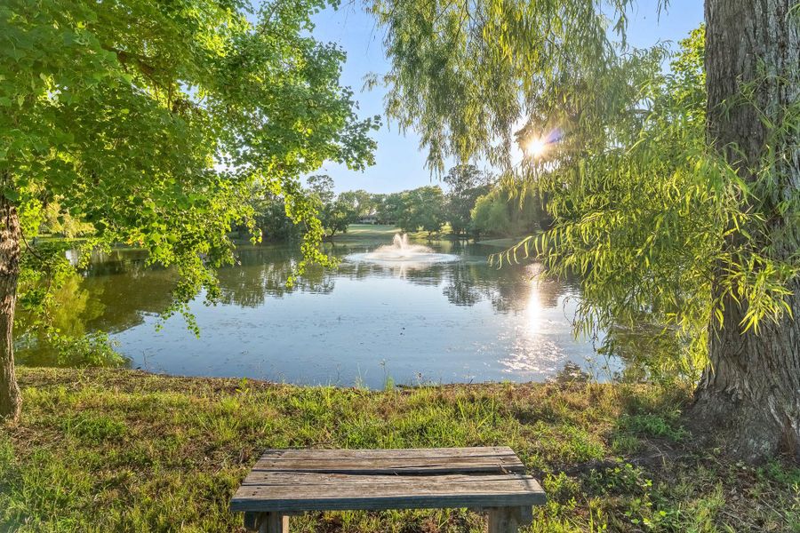Natural landscape and outdoor views near  in Point Blank (Image 43).