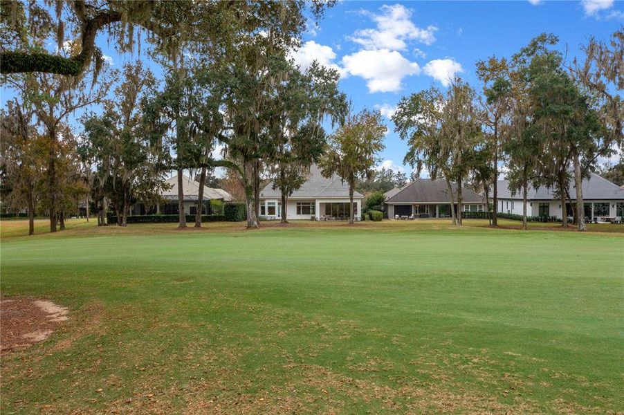 Natural landscape and outdoor views near in Ocala (Image 71). Natural landscape and outdoor views near in Ocala (Image 71).