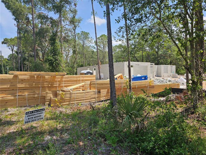 Front exterior of a new home in , Eustis, FL, highlighting curb appeal (Image 12).