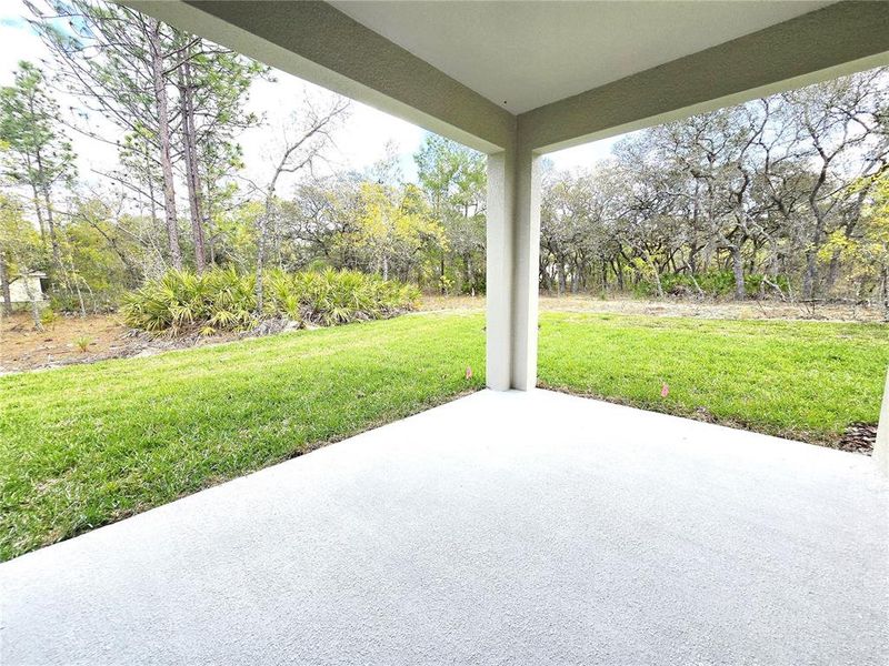 Exterior details and patio area of a home in , Homosassa (Image 41).