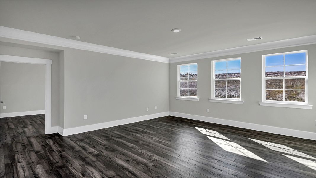 Spacious, unfurnished interior of a new home in Livingston Woods, Irmo (Image 22).