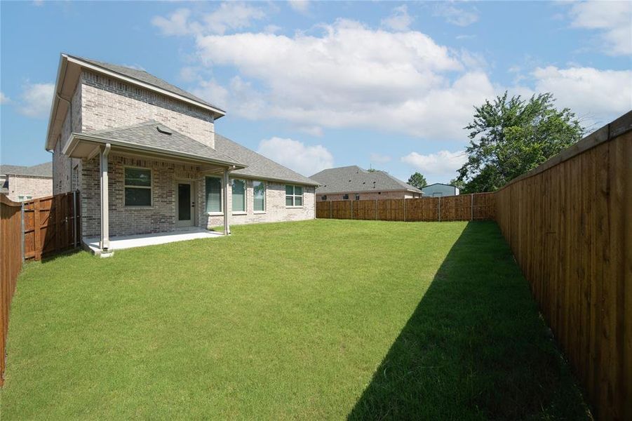 Backyard Backyard