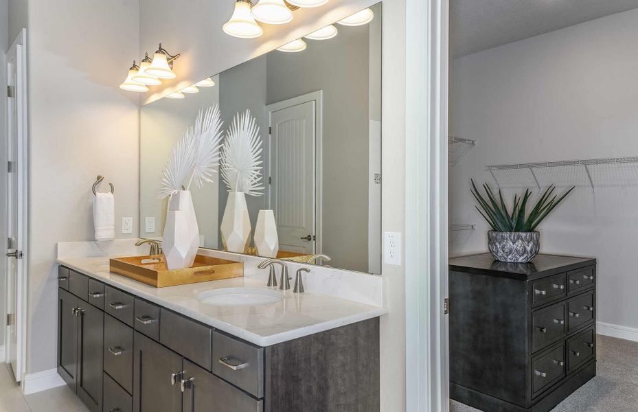 Owner's Bathroom with lots of cabinet storage and walk-in closet