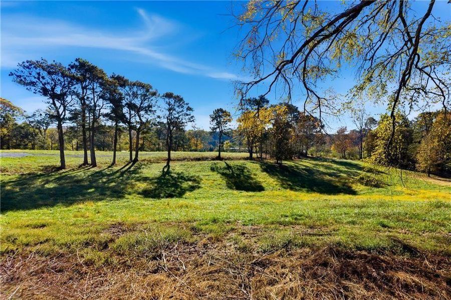 Natural landscape and outdoor views near  in Alpharetta (Image 12).