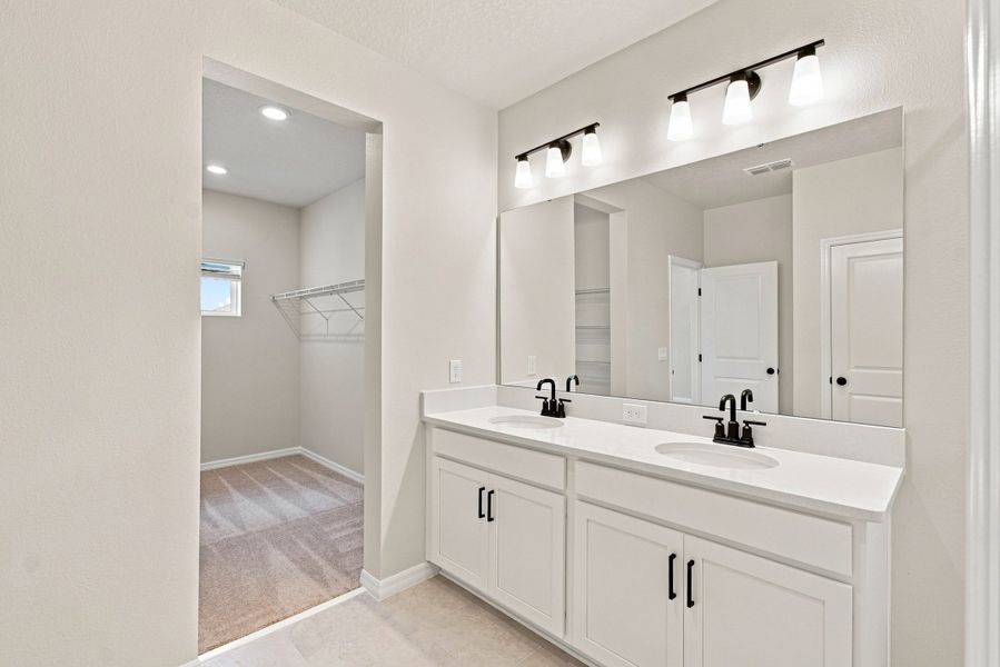 Owner's Bath