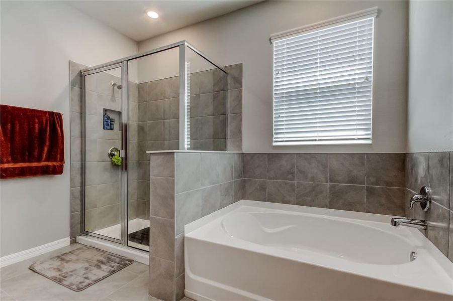 Furnished interior view inside a new home in , Wesley Chapel (Image 38).