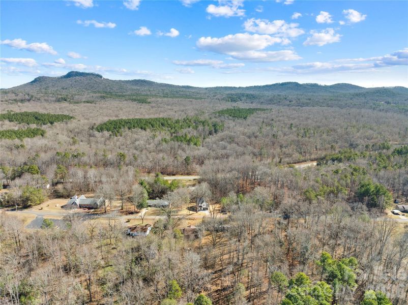 Natural landscape and outdoor views near  in Kings Mountain (Image 36).