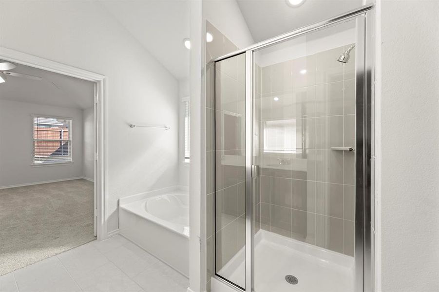 22. 116 Coyote - Bath (3) 22. 116 Coyote - Bath (3)