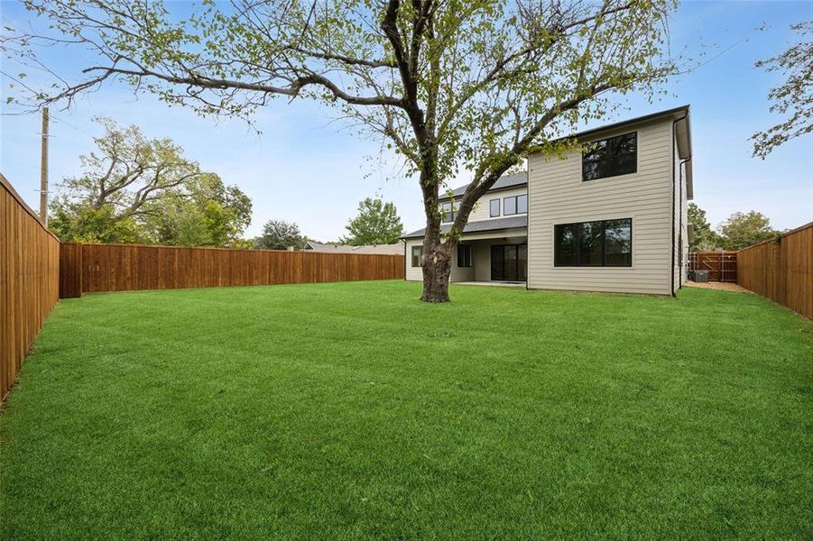 Oversized Backyard with room for a pool