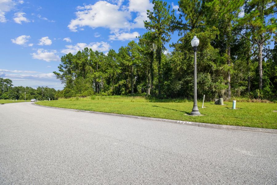 Natural landscape and outdoor views near Southern Hills Plantation in Brooksville (Image 79).