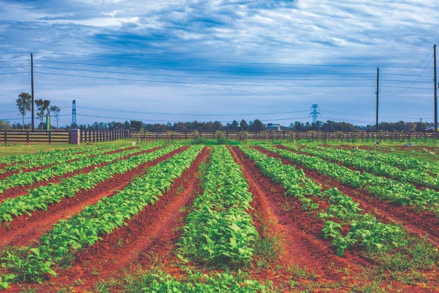 Natural landscape and outdoor views near in Richmond (Image 9). Natural landscape and outdoor views near in Richmond (Image 9).