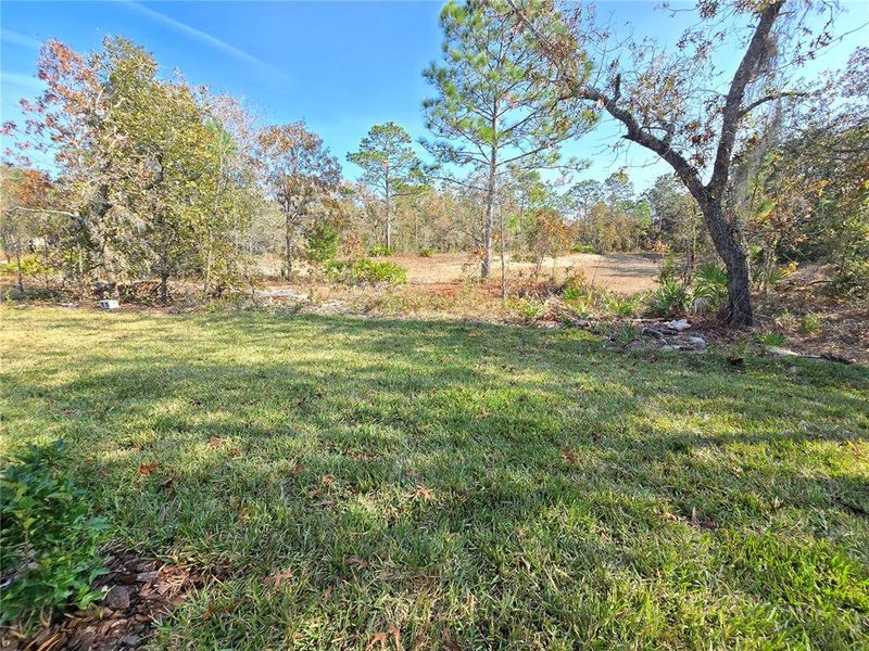 Natural landscape and outdoor views near  in Homosassa (Image 65).