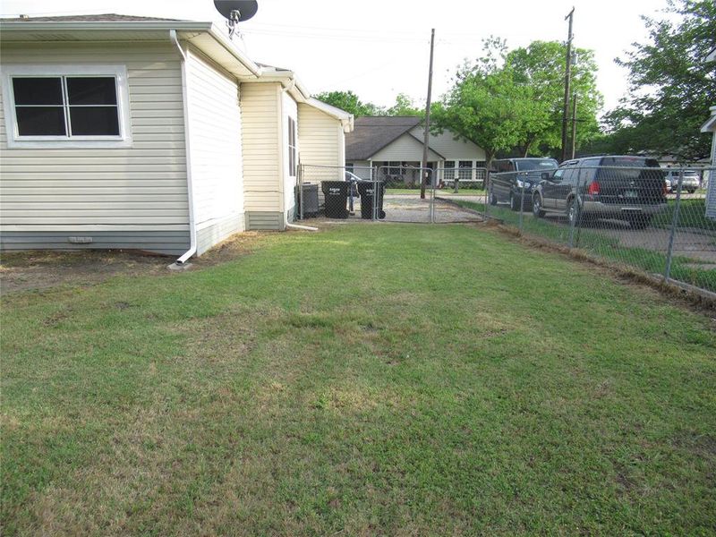 Back Yard