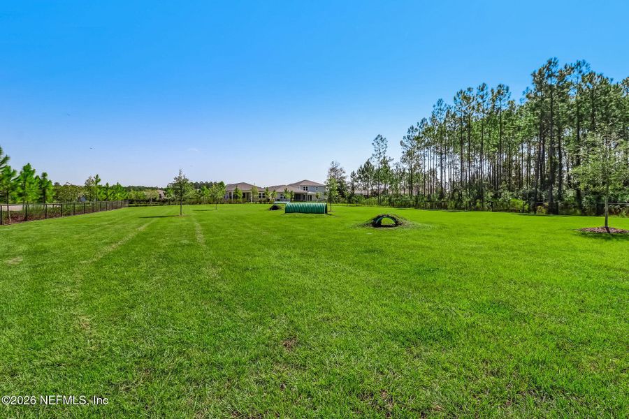 Natural landscape and outdoor views near Tributary in Yulee (Image 60).
