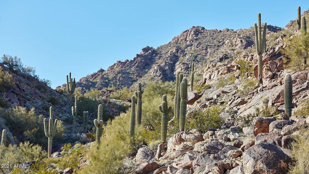 ASC_Phoenician_Camelback_Mountain_Desert