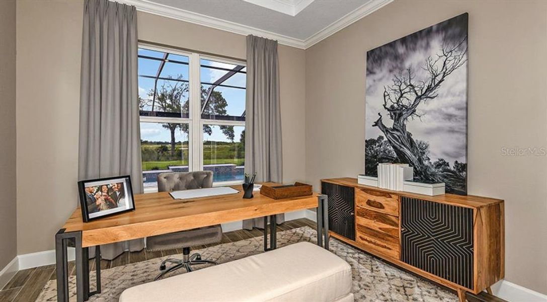 REPRESENTATIVE PHOTOS