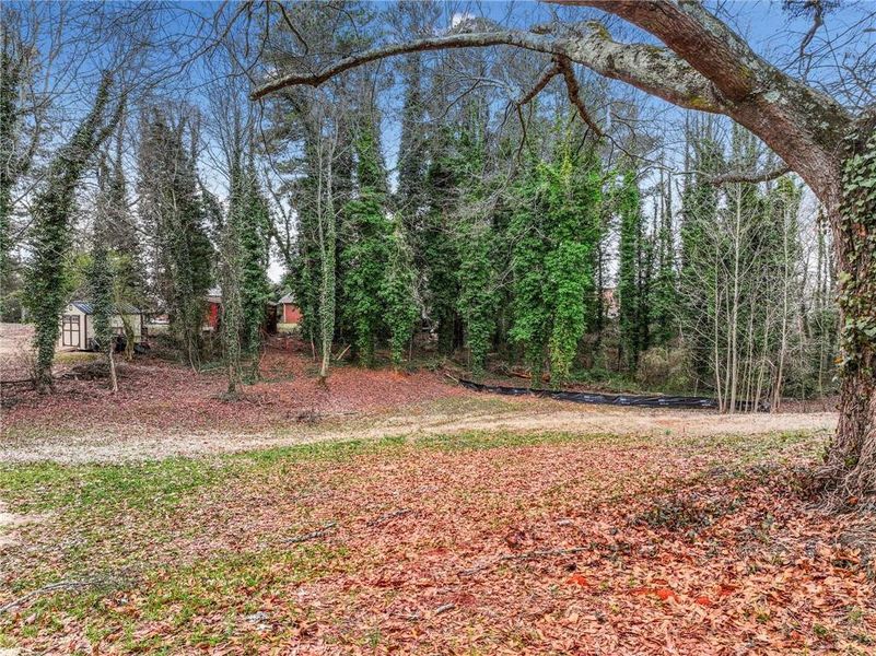 Natural landscape and outdoor views near  in Alto (Image 24).