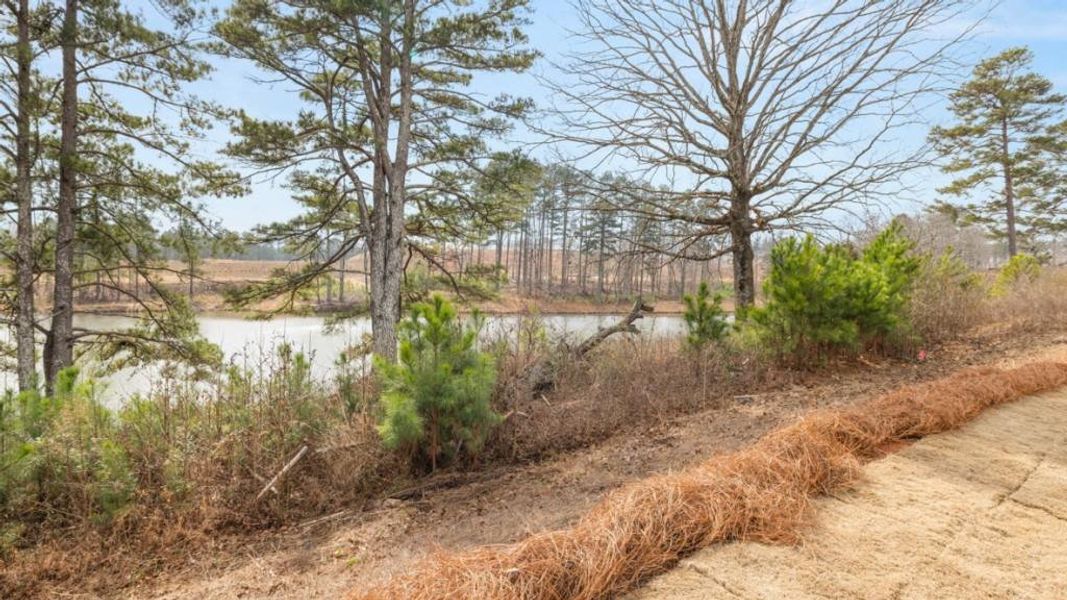 Natural landscape and outdoor views near Thompson Ridge in Dallas (Image 37).