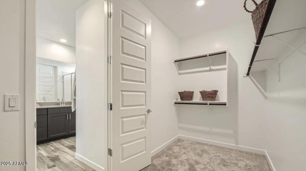 Owners Walk in Closet