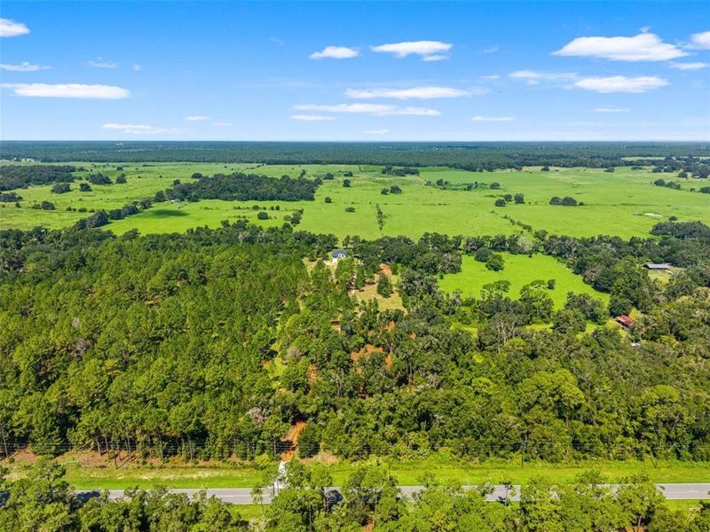 Natural landscape and outdoor views near  in Lecanto (Image 63).