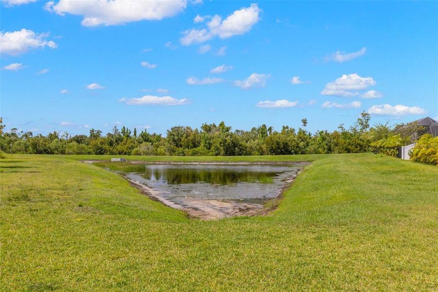 Natural landscape and outdoor views near Chapel Crossings in Wesley Chapel (Image 35). Natural landscape and outdoor views near Chapel Crossings in Wesley Chapel (Image 35).