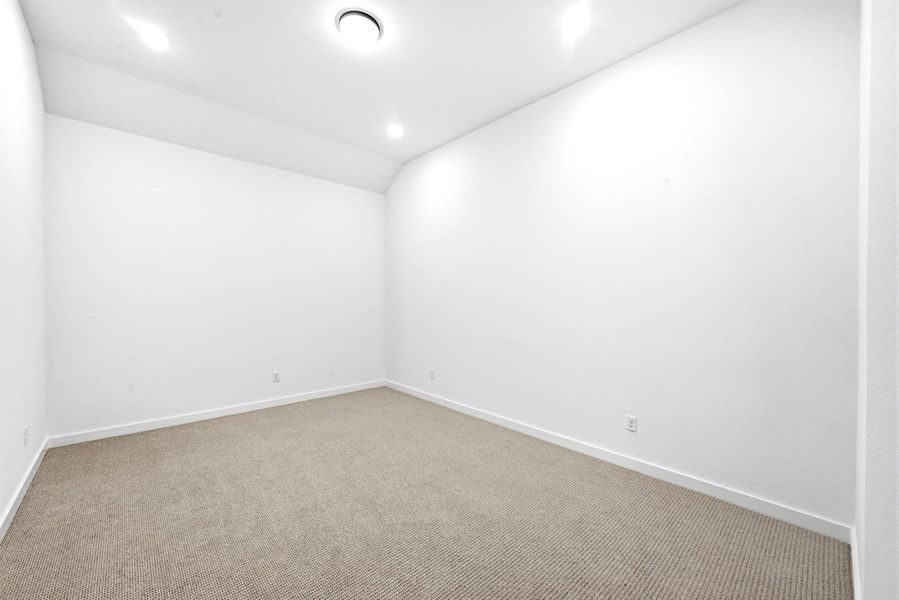 Entertainment Room
