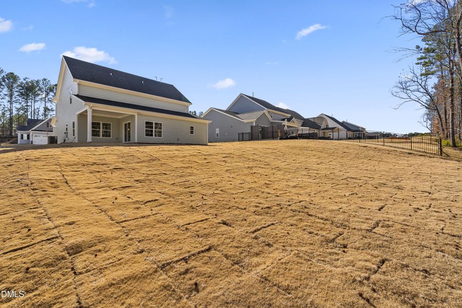 Exterior - Rear Yard - From Trees - DSC0