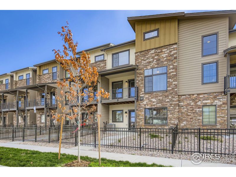 So many windows! So many windows!