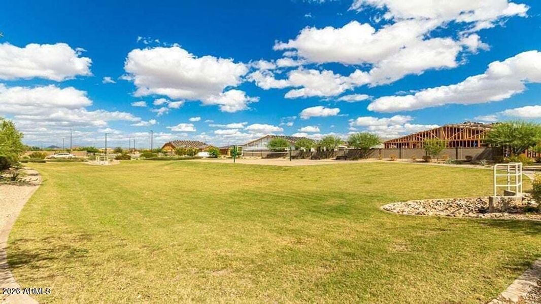 Grassy Area2 (1) Grassy Area2 (1)