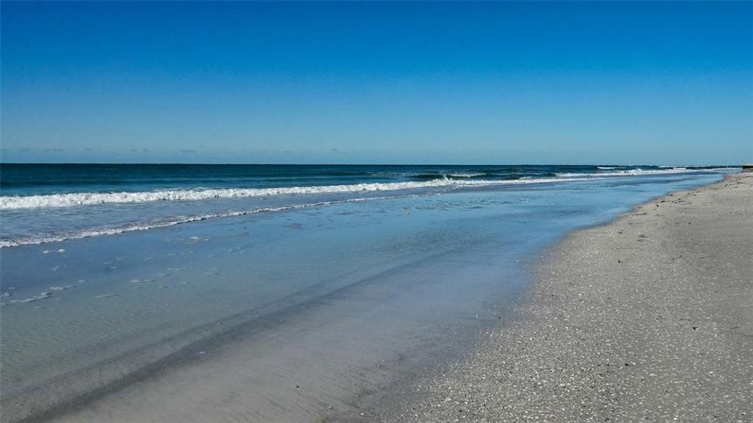 Natural landscape and outdoor views near  in Longboat Key (Image 48).