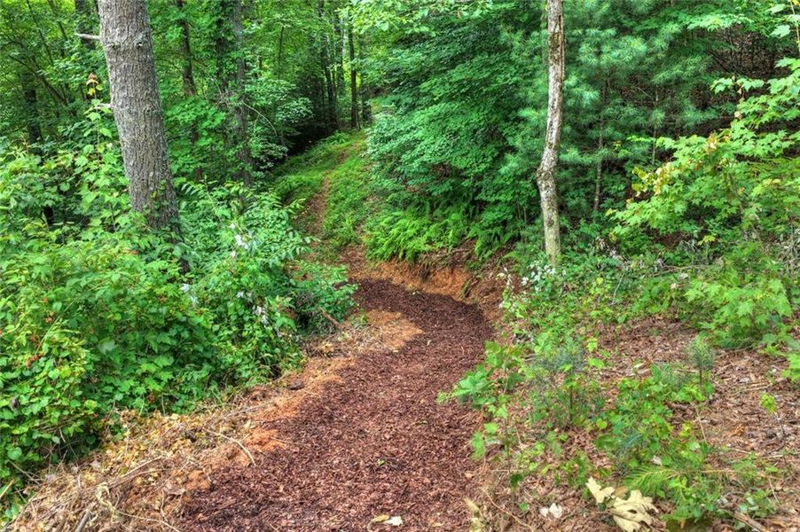 Natural landscape and outdoor views near  in Ellijay (Image 65).