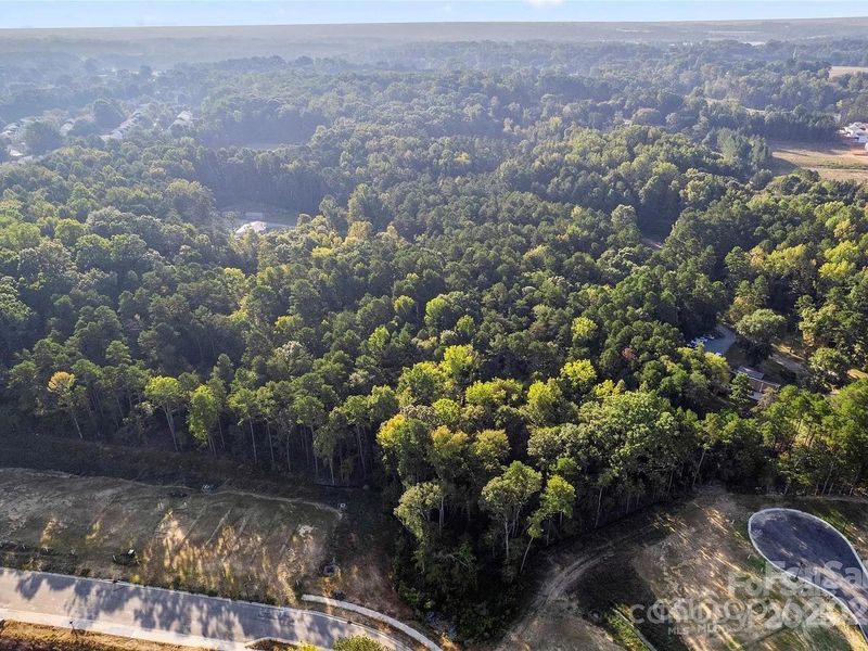 Natural landscape and outdoor views near  in Charlotte (Image 25).